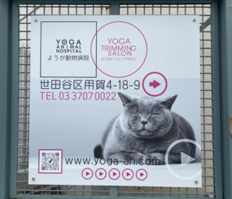 A3940EC3-07BC-4354-9D15-628BB96E6532_1_105_c