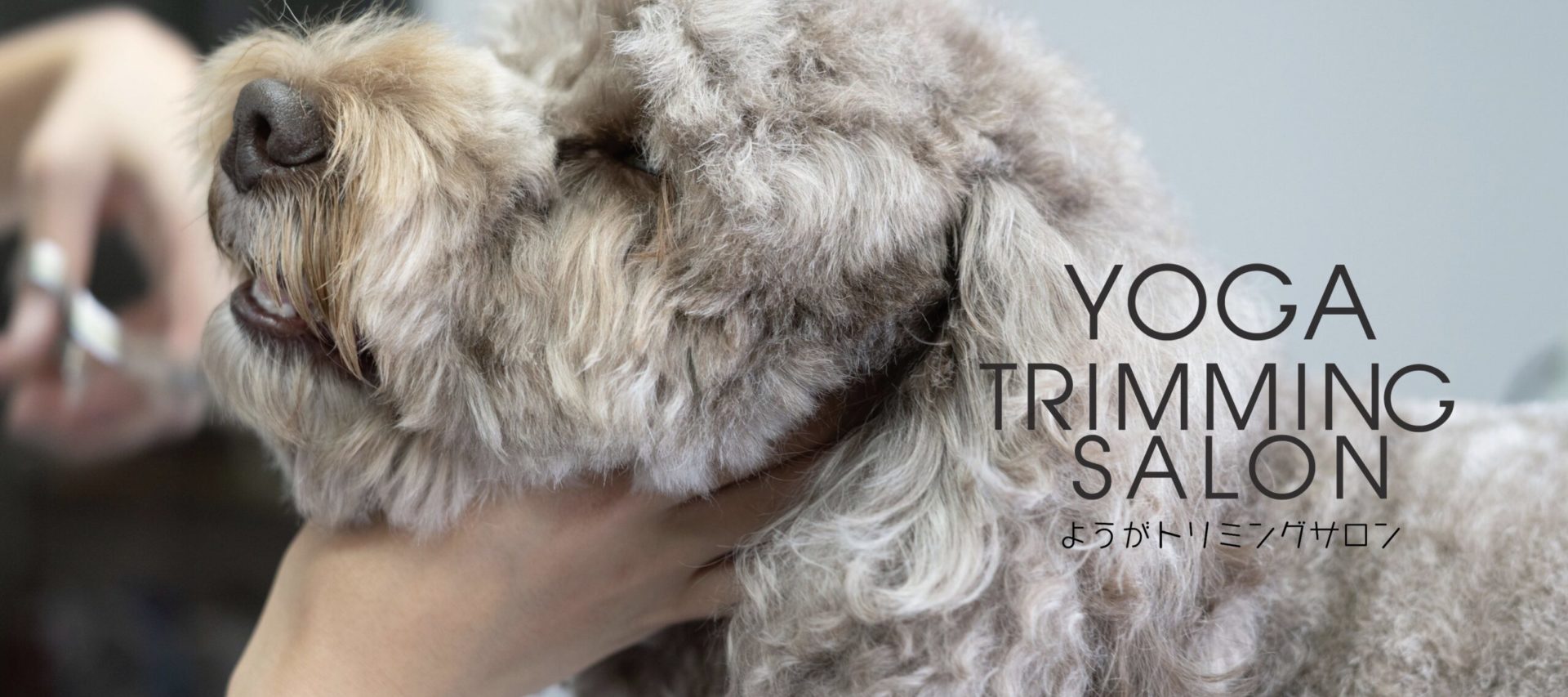 ようがトリミングサロンヘッダー