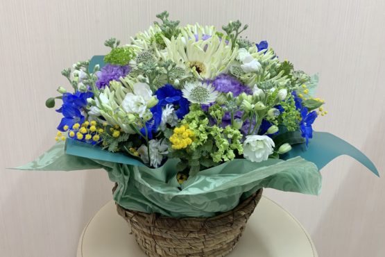 {{brizy_dc_image_alt imageSrc=