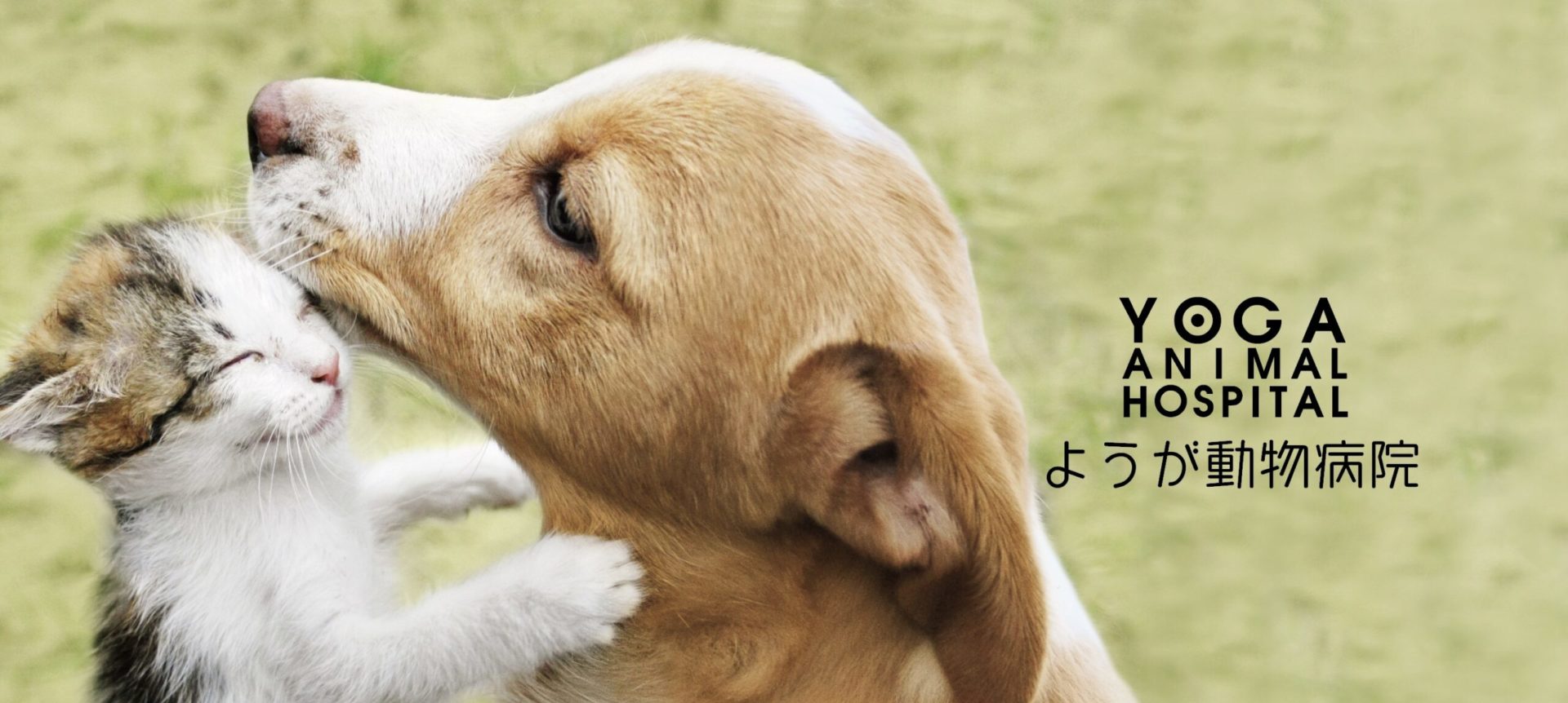 TOPヘッダー トップページイメージphoto