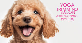 カット集バナー